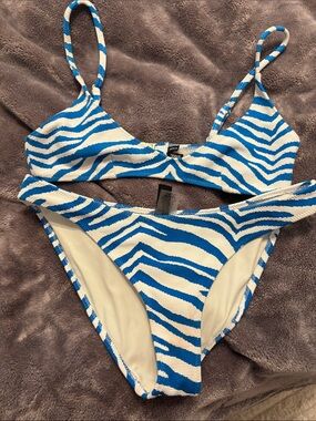 Blue & White Zebra Print Bikini Set